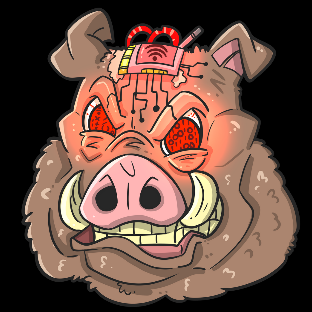 Boar